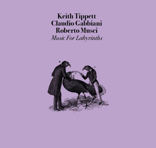Tippett/Gabbiani/Musci - Music For Labyrinths Cd Papersleeve